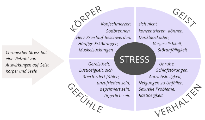 Notfallprogramm Stress Break4you